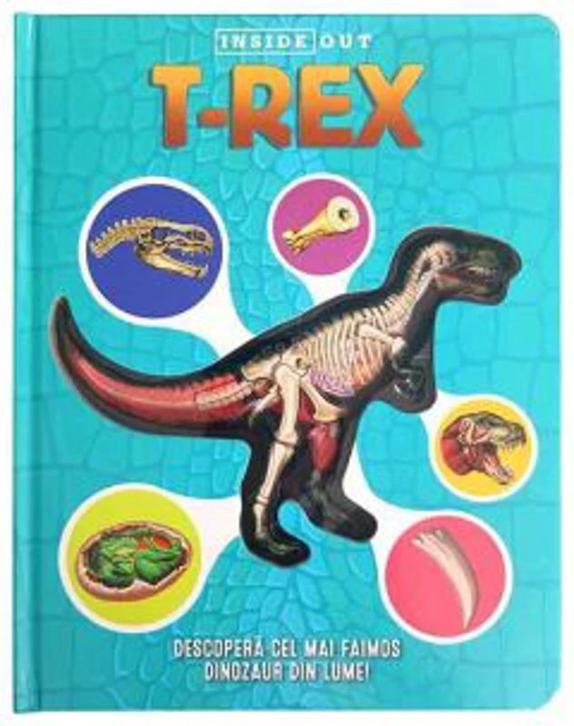 T-REX: Model 3D