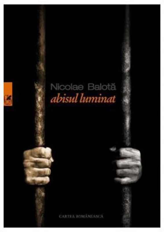 Abisul luminat - Nicolae Balota