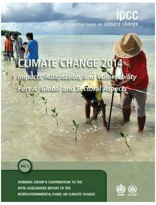Climate Change 2014 – Impacts, Adaptation and Vulnerability: Part A: Global and Sectoral Aspects: Volume 1, Global and Sectoral Aspects: Working Group