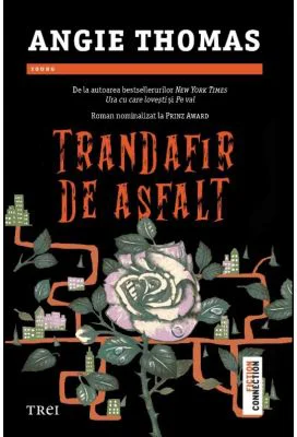 Trandafir de asfalt - Angie Thomas