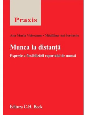 Munca la distanta. Expresie a flexibilizarii raportului de munca - Ana-Maria Vlasceanu, Madalina Ani Iordache