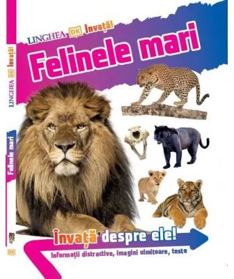Invata! Felinele mari