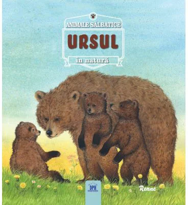 Ursul - Renne