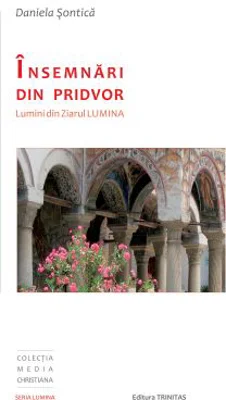 Insemnari din pridvor - Daniela Sontica