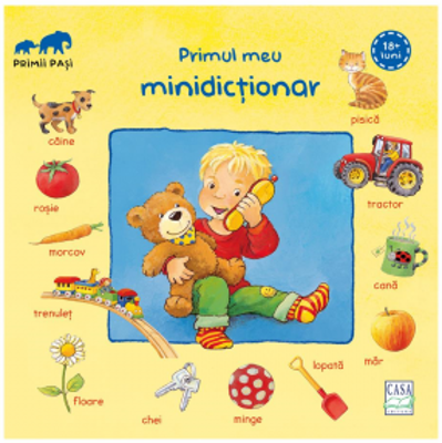 Primul meu minidictionar