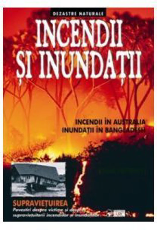 Incendii si inundatii