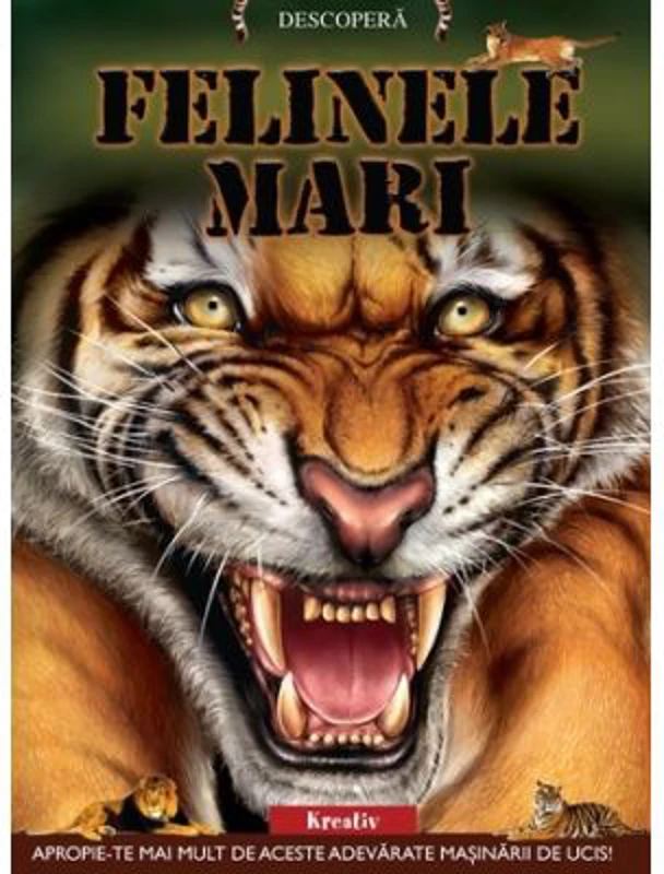 Felinele mari