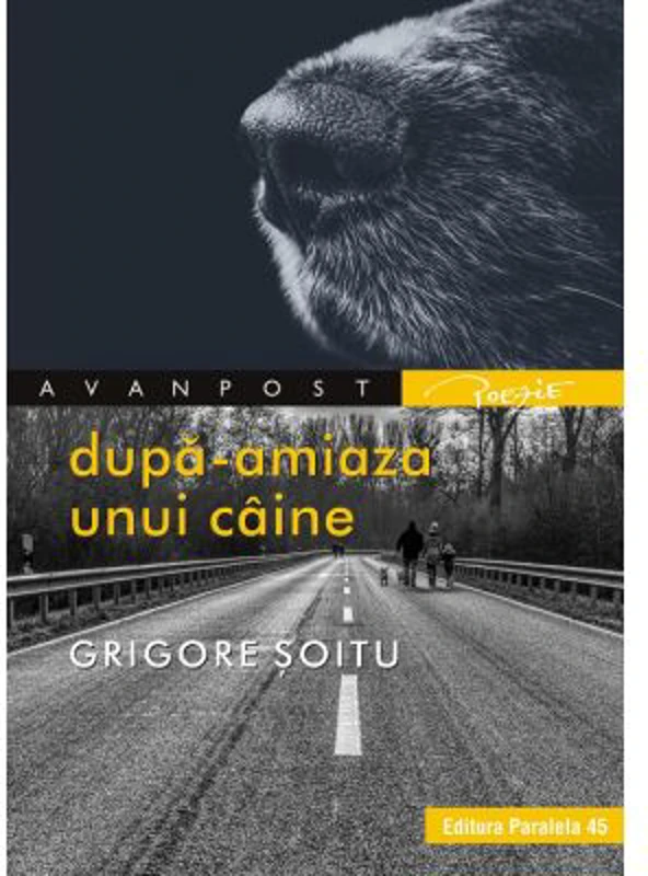 Dupa-amiaza unui caine - Grigore Soitu