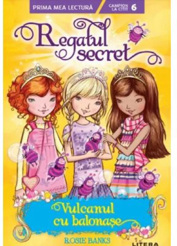 Regatul secret. Vulcanul cu balonase (Nivelul 6)
