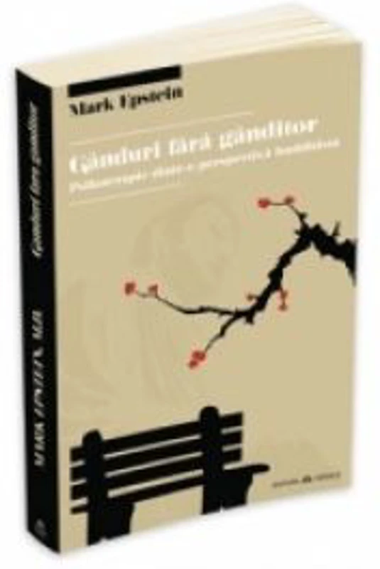 Ganduri fara ganditor. Psihoterapie dintr-o perspectiva