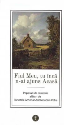 Fiul Meu, tu inca n-ai ajuns Acasa - Nicodim Petre
