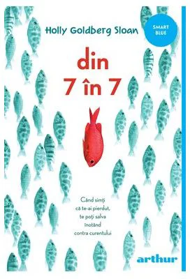Din 7 in 7. Paperback - Holly Goldberg Sloan