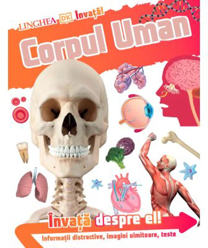Invata! Corpul Uman