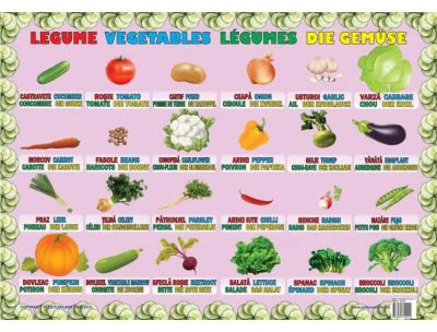 Legume - Plansa educativa