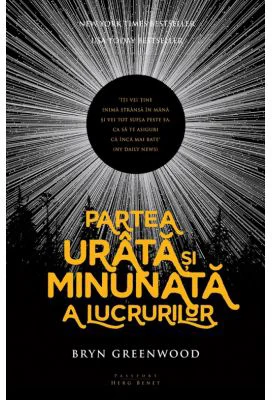 Partea urata si minunata a lucrurilor