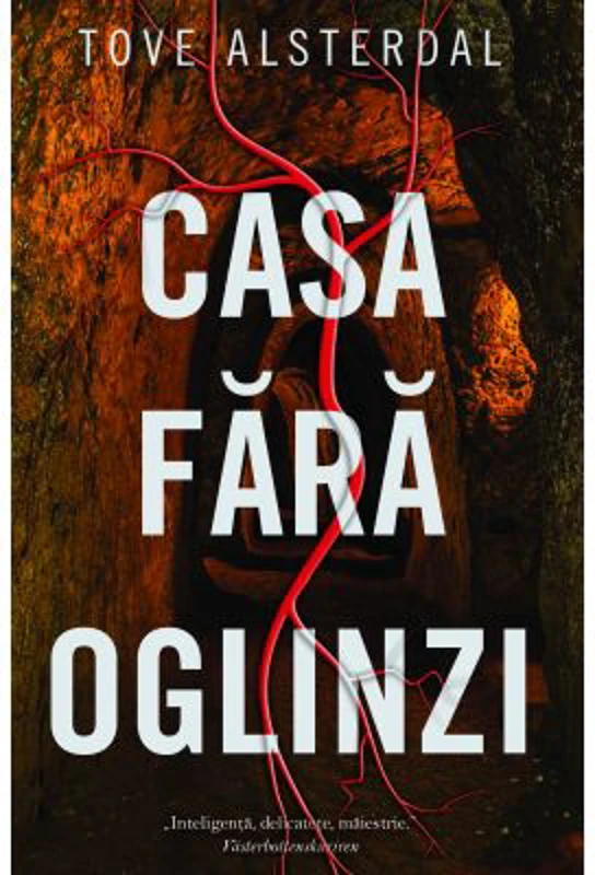 Casa fara oglinzi - Tove Alsterdal
