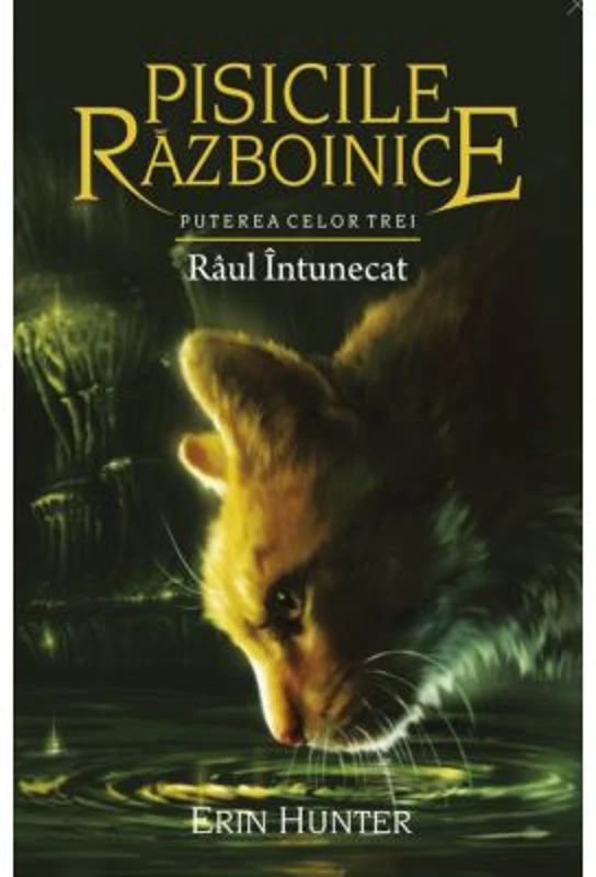 Pisicile Razboinice. Puterea celor trei. Cartea 14. Raul intunecat - Erin Hunter