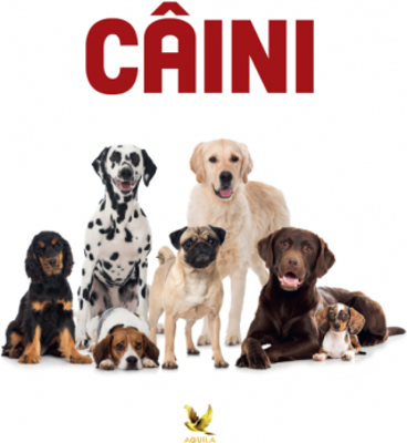 Caini