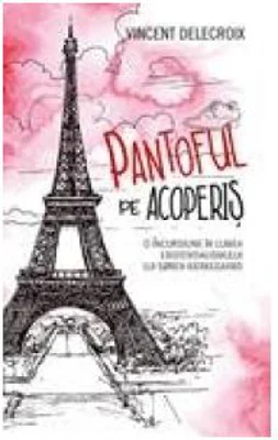 Pantoful pe acoperis - Vincent Delecroix