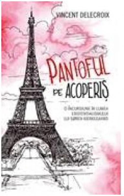 Pantoful pe acoperis - Vincent Delecroix