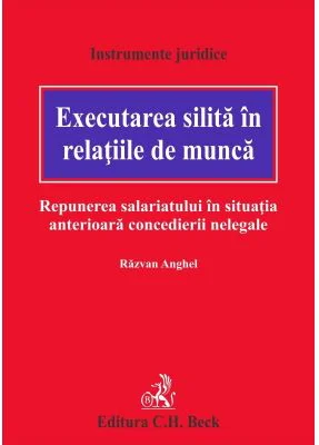 Executarea silita in relatiile de munca. Repunerea salariatului in situatia anterioara concedierii nelegale - Razvan Anghel