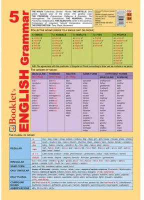 Limba engleza Pliant English Grammar 5