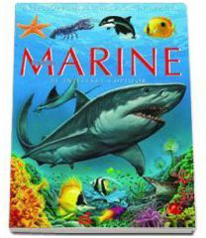 Animale marine pe intelesul copiilor - Enciclopedia animalelor in imagini - Editie cartonata - Emilie Beaumont