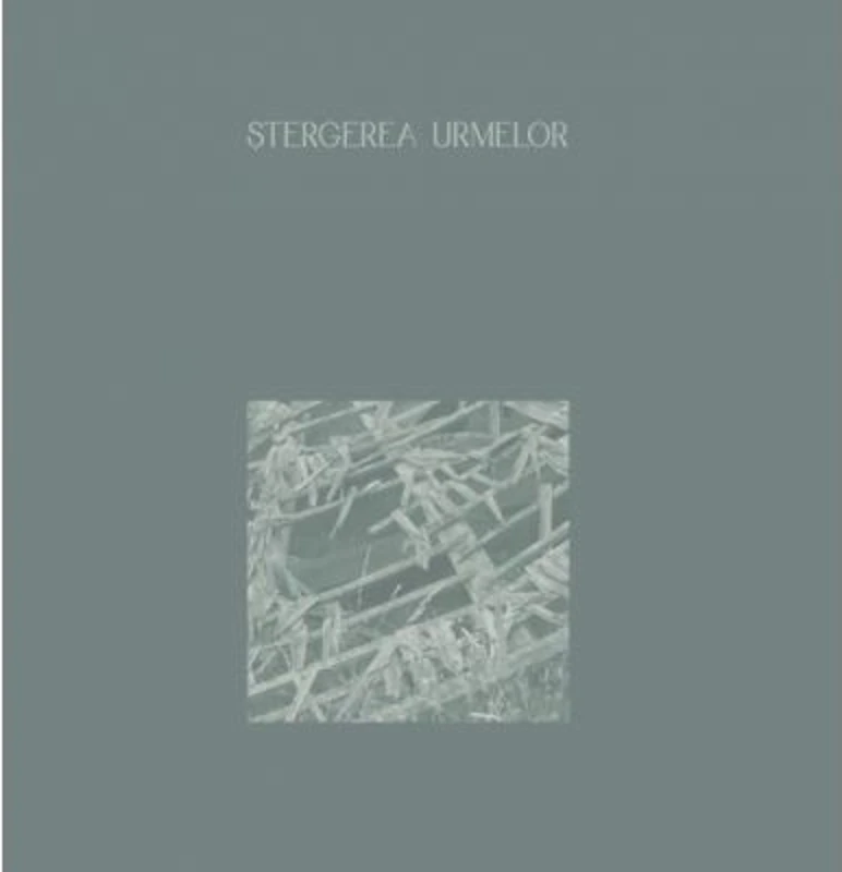Stergerea urmelor - Paul Gherasim