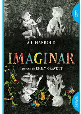 Imaginar. Paperback