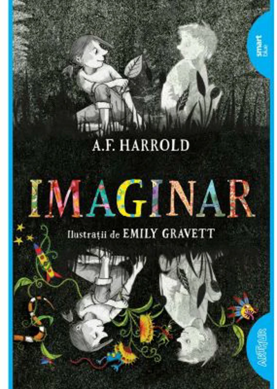 Imaginar. Paperback