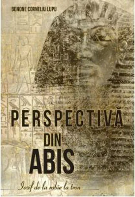 Perspectiva din abis