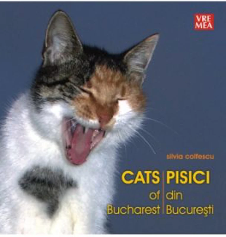 Pisici din Bucuresti - Silvia Colfescu