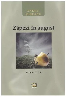 Zapezi in august - Andrei Turcanu