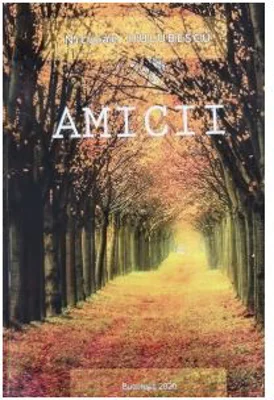 Amicii