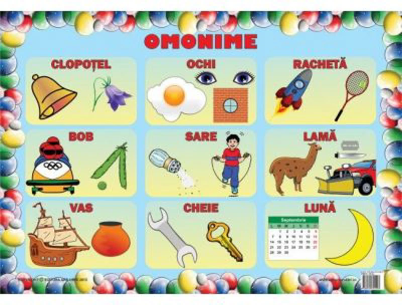 Omonime - Set 3 planse