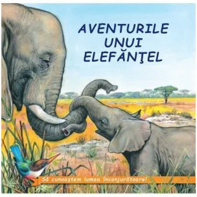 Aventurile unui elefantel - Sa cunoastem lumea inconjuratoare!