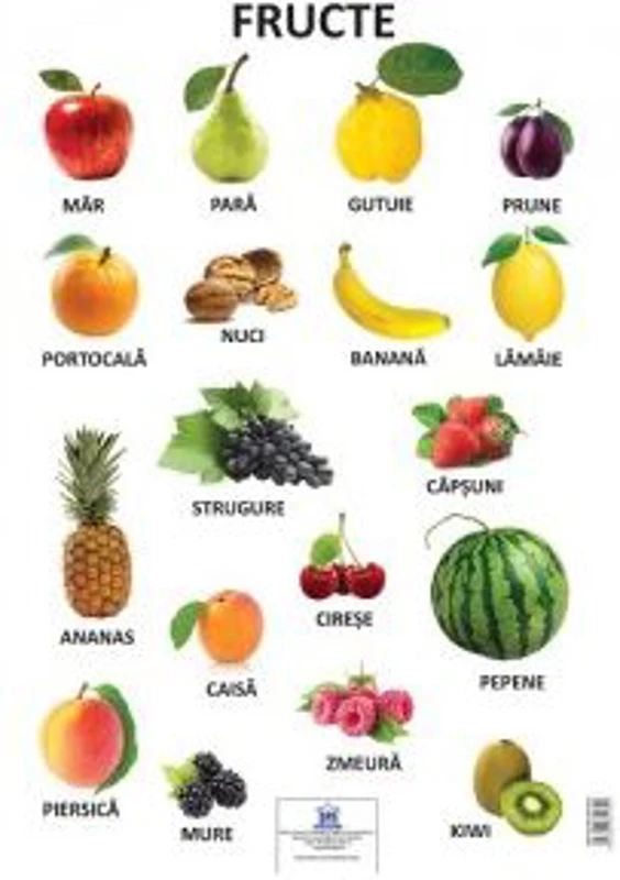 Plansa Fructe