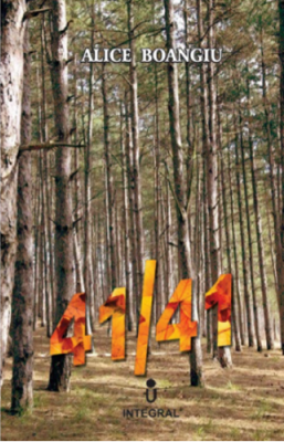 41/41