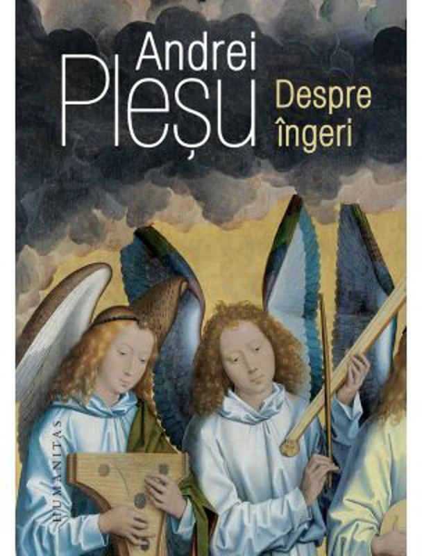 Despre ingeri - Andrei Plesu