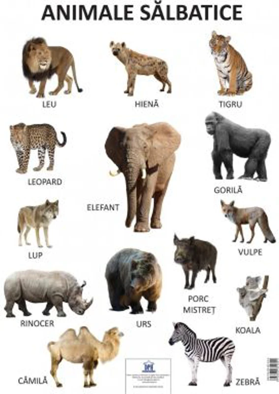 Plansa Animale salbatice