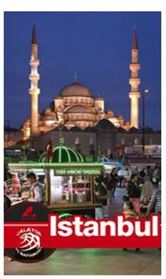 Ghid turistic ISTANBUL - Florin Andreescu, Dana Ciolca