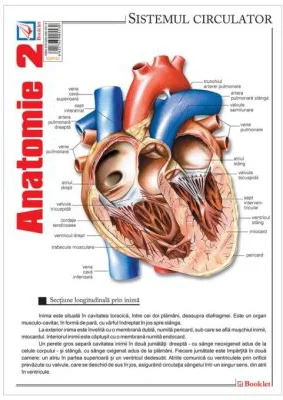Pliant Anatomie 2
