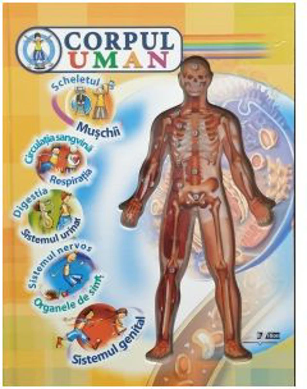 Corpul uman