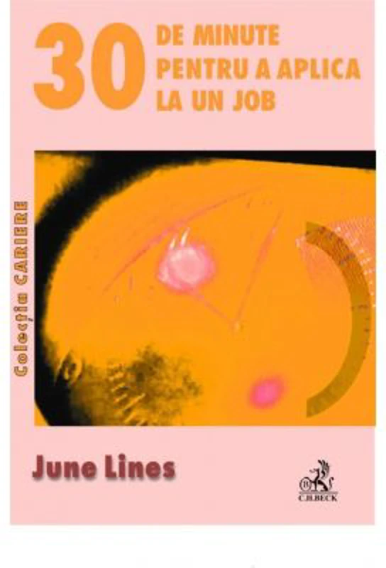 30 de minute pentru a aplica la un job - June Lines