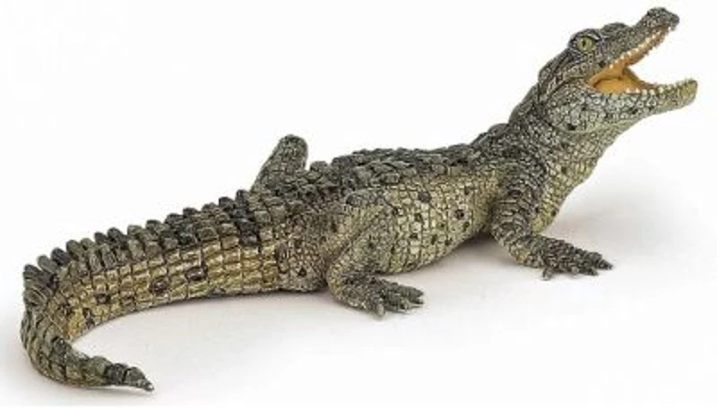 Figurina pui de crocodil, Papo