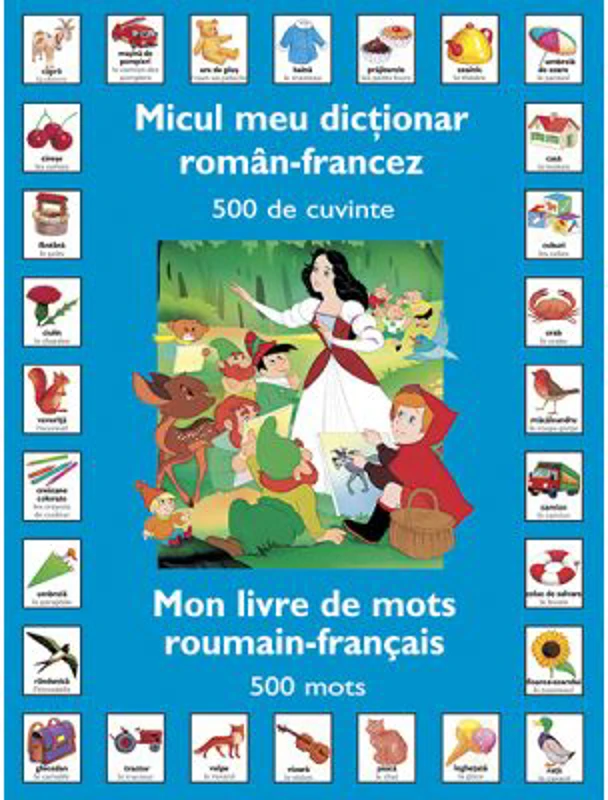 Micul meu dictionar Roman – Francez