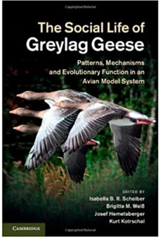 The Social Life of Greylag Geese: Patterns, Mechanisms and Evolutionary Function in an Avian Model System - Isabella B. R. Scheiber, Brigitte M. Weib,