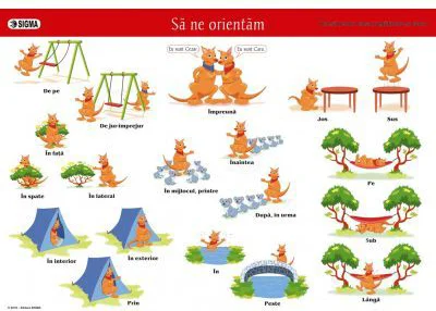 Plansa „Sa ne orientam”