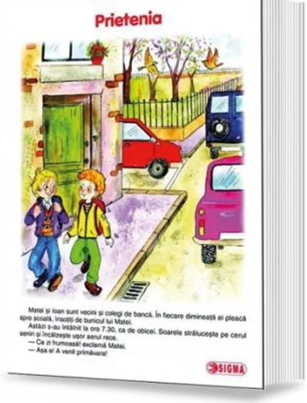 Prietenia. Carte uriasa - Valeria Cristici