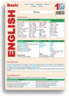 Basic English 1 - Mihaela Danga, Laura Popescu